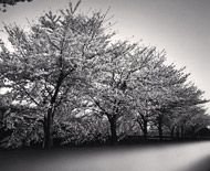 マイケル・ケンナ写真展　風景に刻まれた記憶