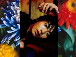 展覧会イメージ