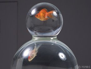 展覧会イメージ